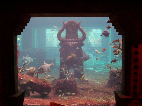 Aquarium #1