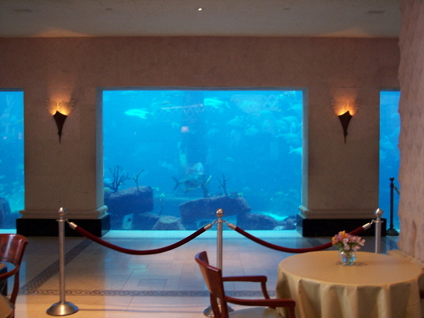 Lobby Aquarium View