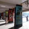 E0D678A5-A9D0-46D6-89E9-75733C45441F: Murals at the train station
