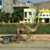 05 Drive to Jaipur