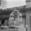 Lessuck - library lion-2