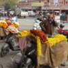 32 Jaipur Old City Market