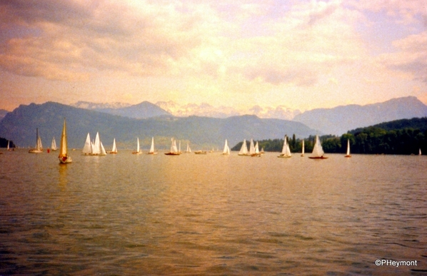 Sail Boats on Lake Lucerne