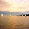 Sail Boats on Lake Lucerne