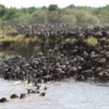 2_Migration-river-crossing-kogatende-andBeyond-Serengeti-Under-Canvas