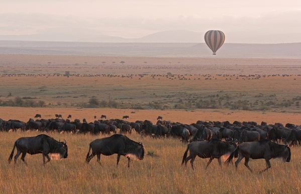 8_Serengeti-ballooning-Walking-in-the-footsteps-of-a-Tanzanian-guide