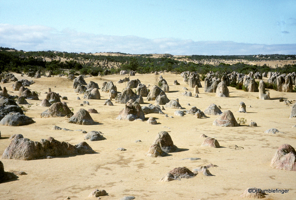 05-Western Australia 9-1997. 123 Nambung National Park. The Pinnacles in the a.m.
