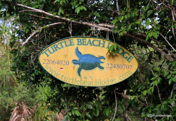 22 Turtle Bay Resort canal safari