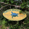 22 Turtle Bay Resort canal safari
