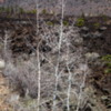 12 Sunset Crater