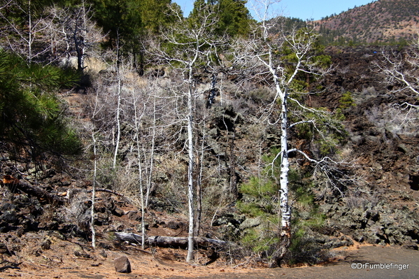 13 Sunset Crater