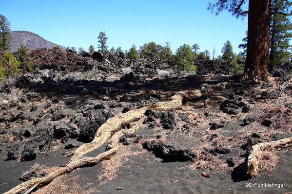 14 Sunset Crater