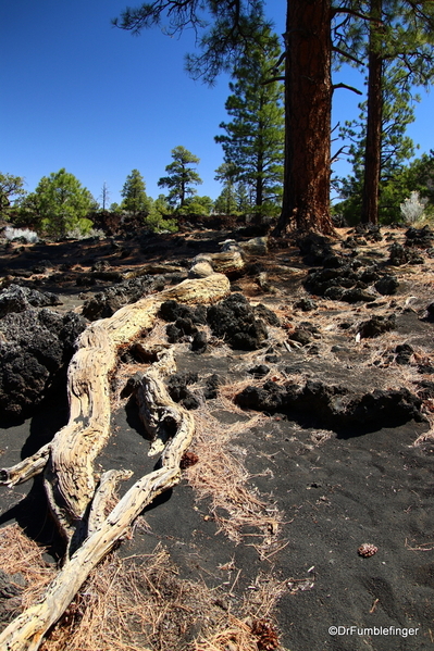 15 Sunset Crater