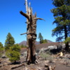 18 Sunset Crater