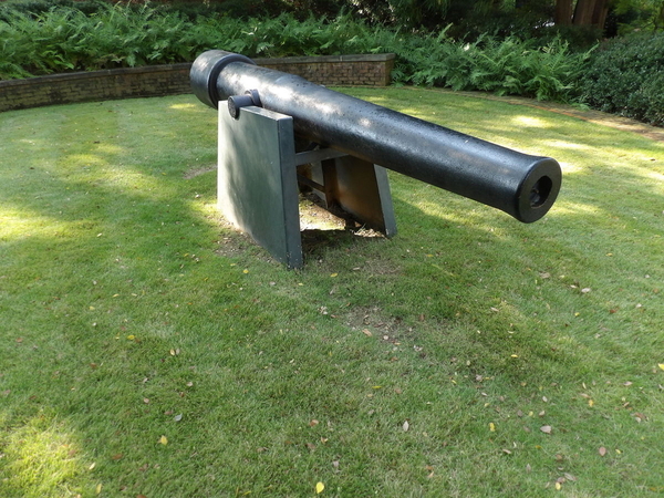 Siege Cannon
