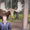 Alaska Fairbanks stuffed moose