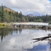 Alaska Denali Horseshoe Hike beaver dam