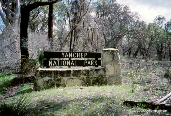 Western Australia 9-1997. 067 Yanchep National Park