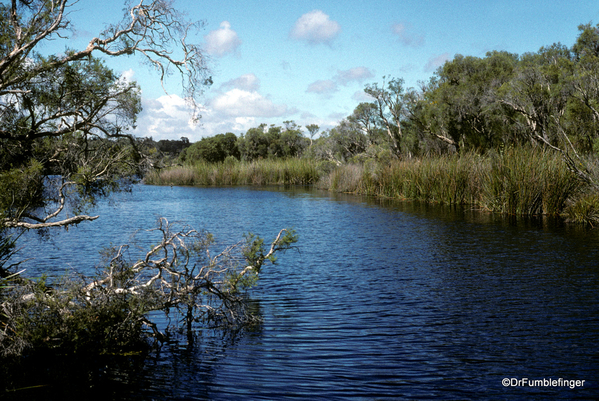 Western Australia 9-1997. 082 Yanchep National Park. Loch McNess