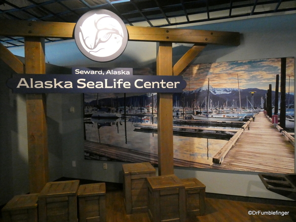 01 Seward Sealife Center