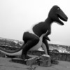 09 Dinosaur Park