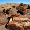 00 Petrified Forest