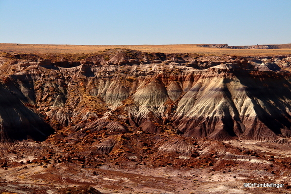 01 Petrified Forest