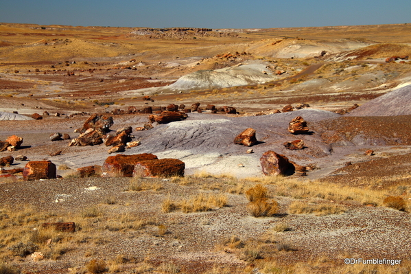 05 Petrified Forest