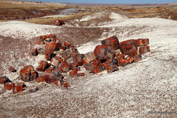08 Petrified Forest