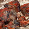 09 Petrified Forest
