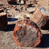 21 Petrified Forest