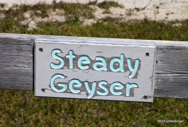 31 Steady Geyser