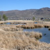 00 Reno wetlands