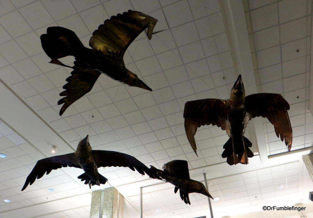 Birds in Flight, Tampa International Airport, Florida