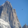 Fitzroy Massif, El Chalten, Argentina.  Note the Andean condor gliding by to the right of this peak