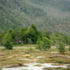 Some of the scenery on our hike in Tierra Del Fuego, Chile