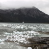 Our Cruise ship, the Australias, amidst many small pieces of calved ice from the Pia Glacier.  Pia Fjord, Chile's Patagonia
