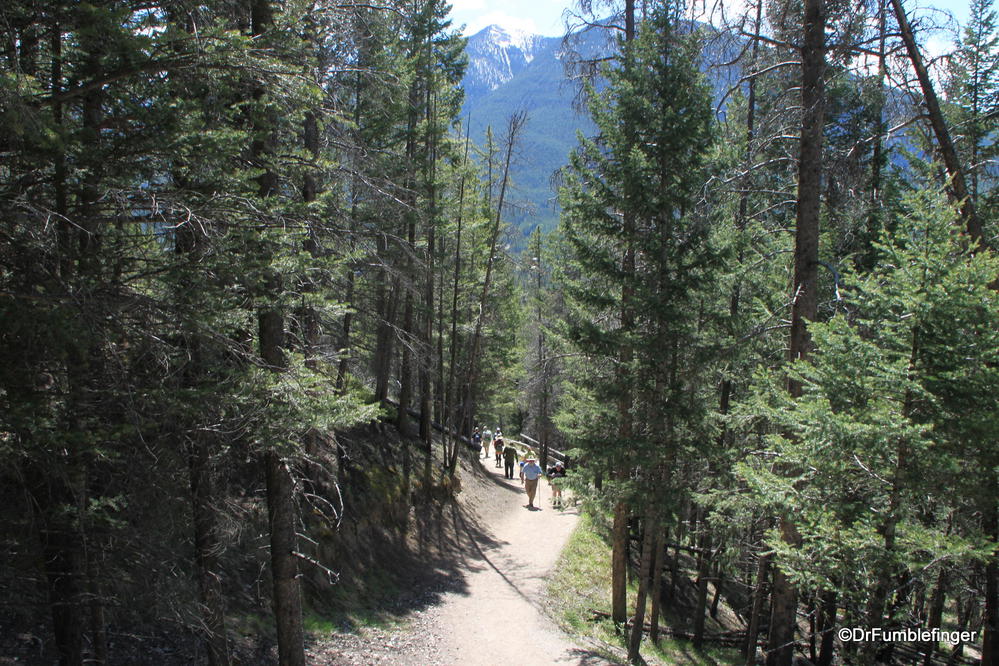 Trail up Tunnel Mountain, Banff National Park