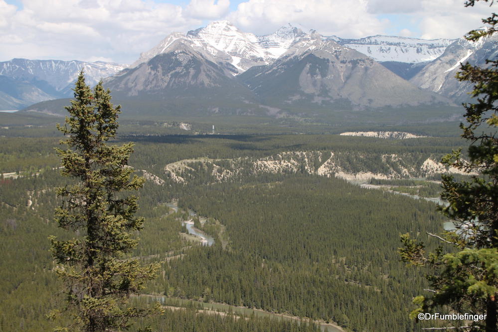 Bow River Valley viewed from Tunnel Mountain, Banff National Park