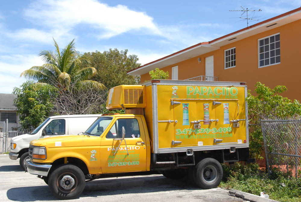 Papacito Ice Cream Truck on Calle Ocho (Miami)