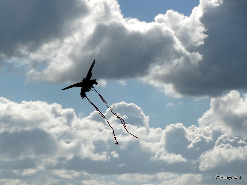 A Kite in the Clouds