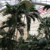 Mirage Resort's atrium