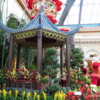 Chinese Year display, Bellagio Conservancy, Las Vegas
