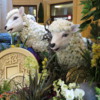 Year of the Sheep exhibit, Palazzo resort, Las Vegas, Nevada
