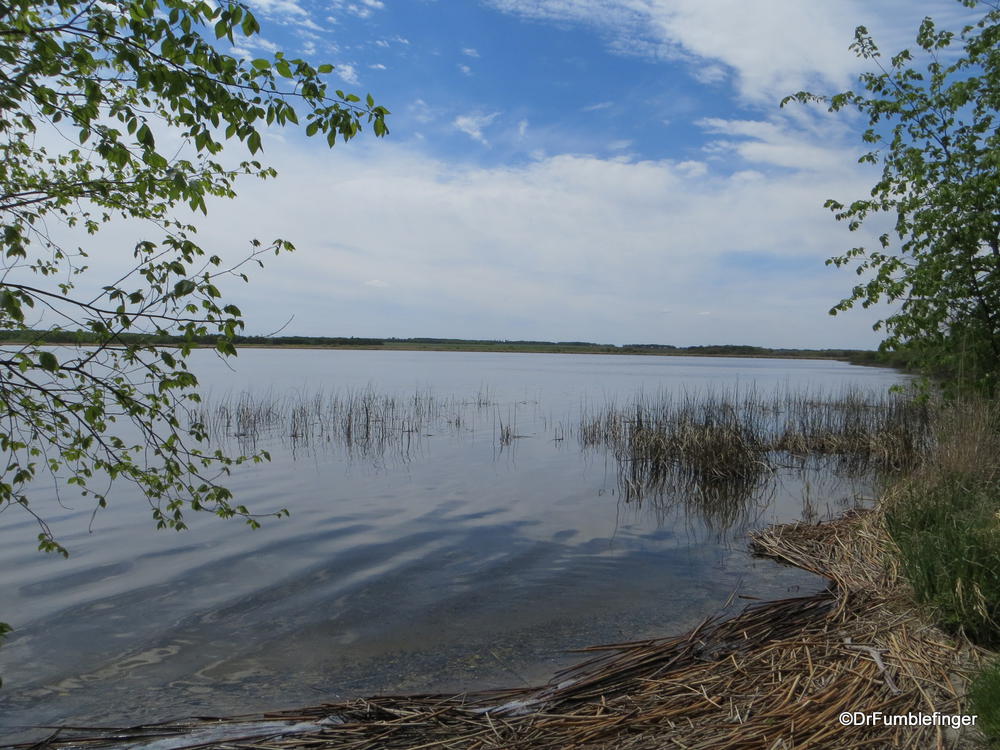 Prairie Lake north of Dauphin, Manitoba