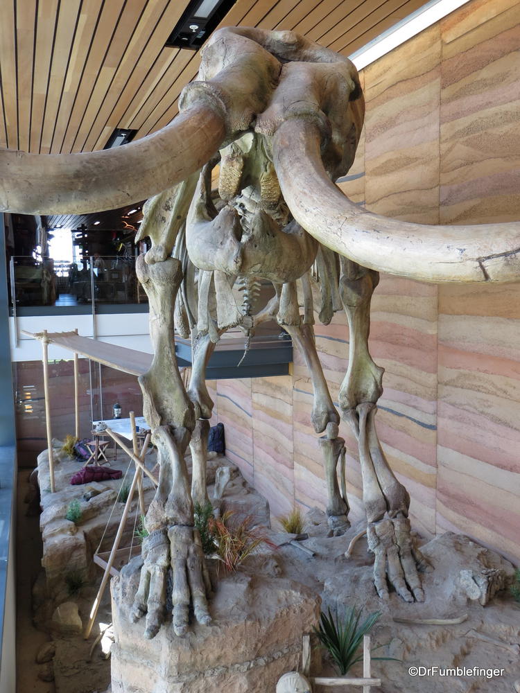 Never know when you'll run into a Mammoth.  This one at the Cheyenne, Wyoming Visitor Center
