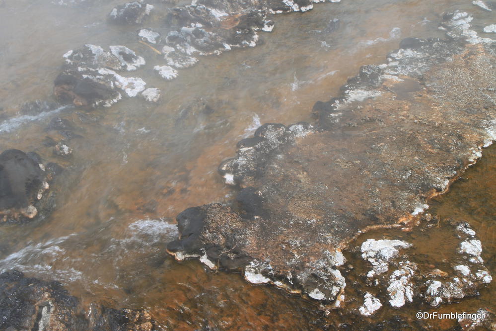 Bacterial mats and minerals give this steaming stream some unusual colors