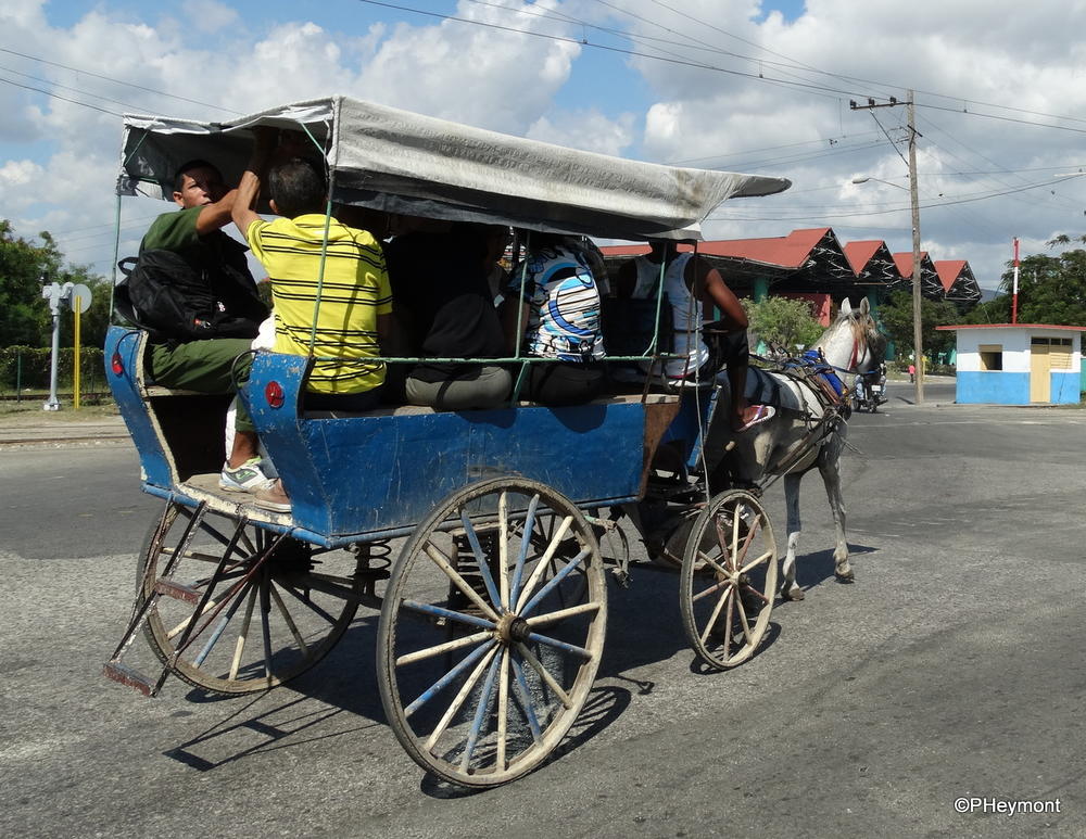 Horse-drawn transport, Santiago de Cuba