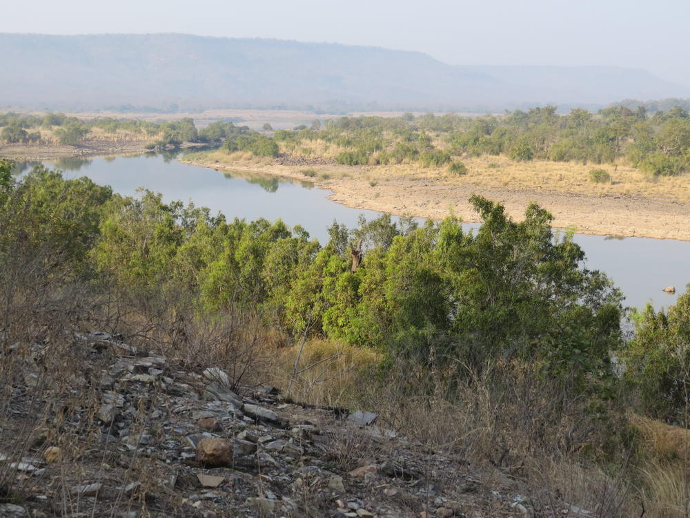 Scenic view, Panna National Park