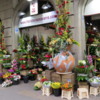 The lovely Navarro flower shop, Eixample district of Barcelona